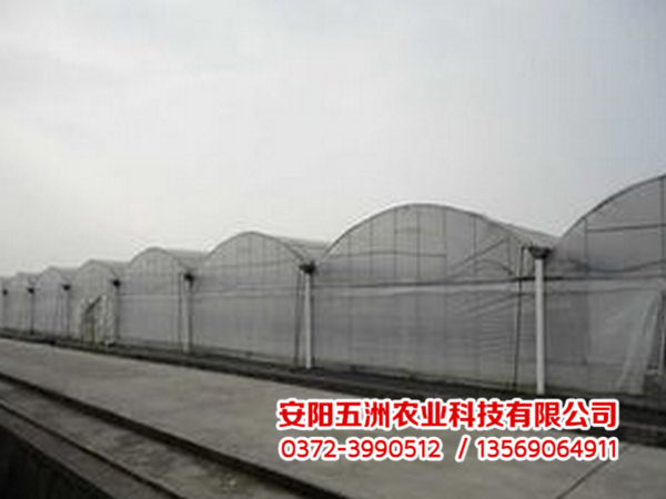 連棟大棚 連棟大棚